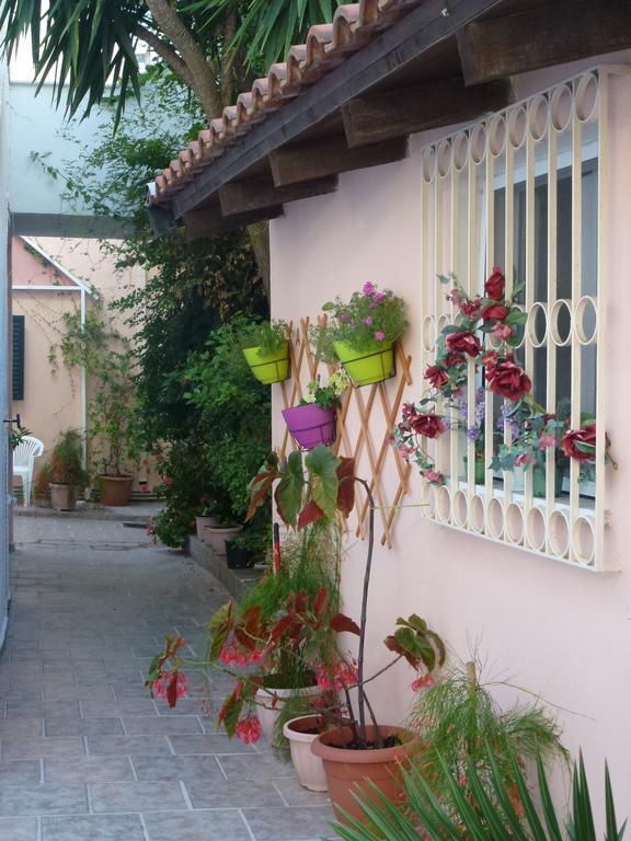 Apartment Galini Benitses (Corfu)